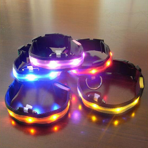 LED Glow Safety Dog Collar