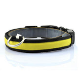 LED Glow Safety Dog Collar