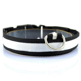 LED Glow Safety Dog Collar