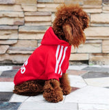 DOG Winter Hoodie