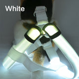 Dog Harness LED Flashing Collar Light