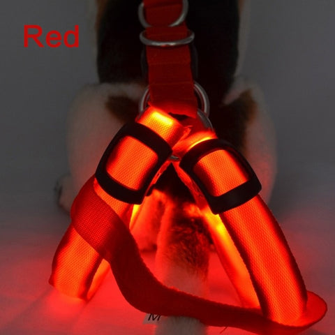 Dog Harness LED Flashing Collar Light
