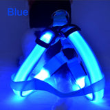 Dog Harness LED Flashing Collar Light