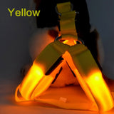 Dog Harness LED Flashing Collar Light