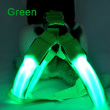 Dog Harness LED Flashing Collar Light